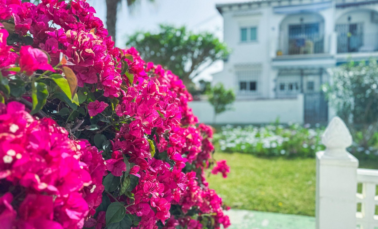 Revente - Bungalow - Torrevieja - Lago jardin