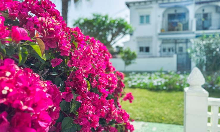 Revente - Bungalow - Torrevieja - Lago jardin