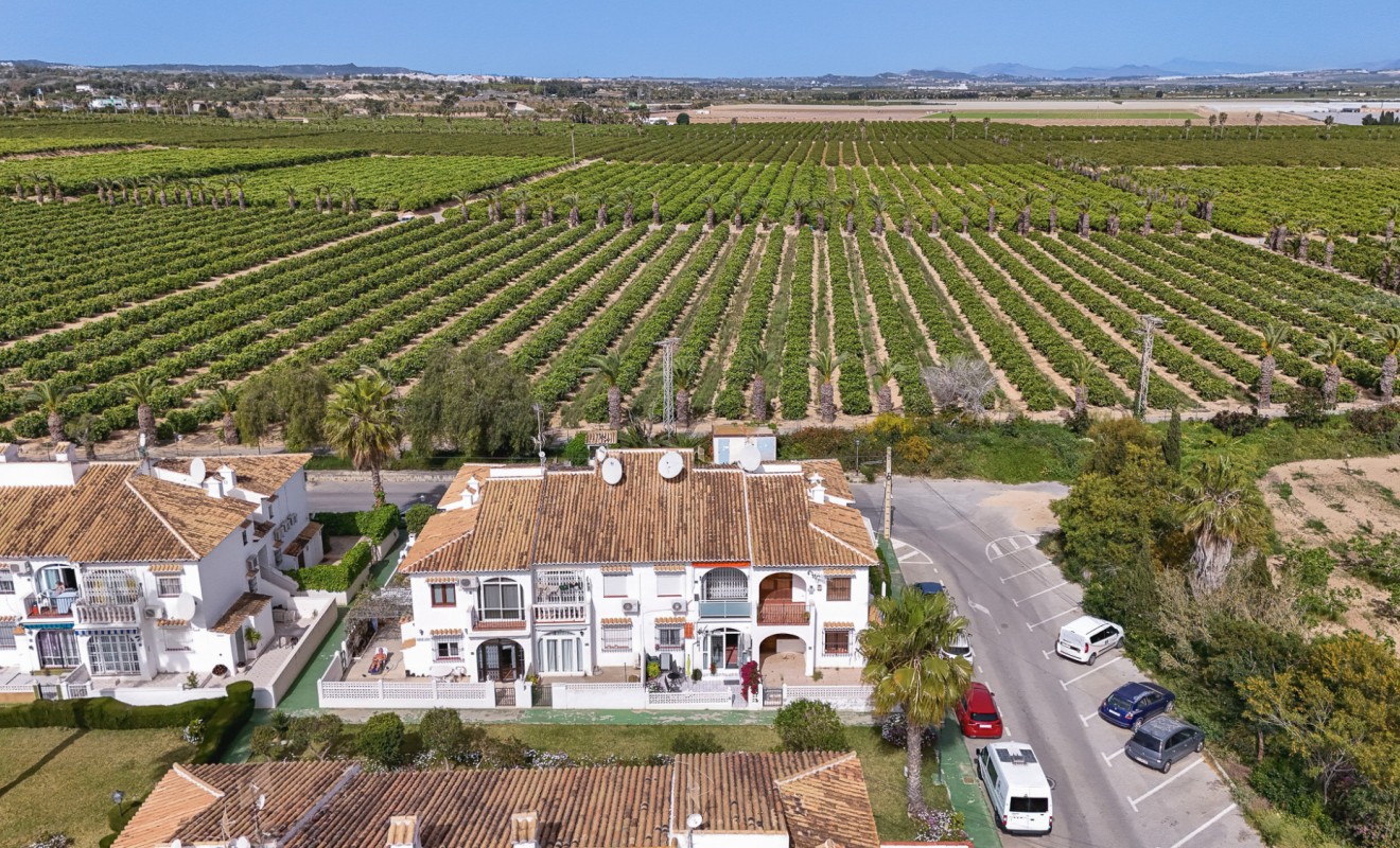 Revente - Bungalow - Torrevieja - Lago jardin