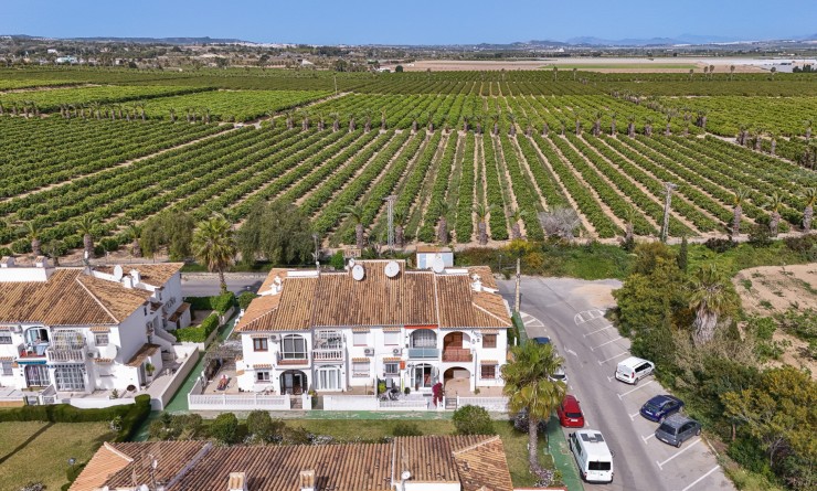 Revente - Bungalow - Torrevieja - Lago jardin