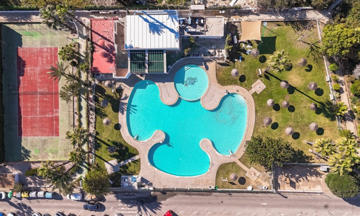 Revente - Bungalow - Torrevieja - Lago jardin