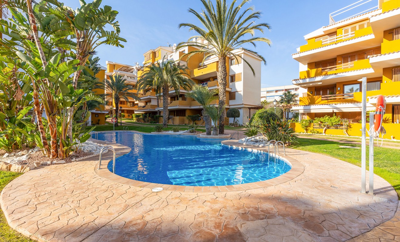 Wederverkoop - Appartement - Torrevieja - Punta prima