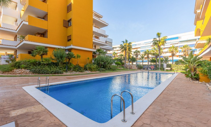 Wederverkoop - Appartement - Torrevieja - Punta prima