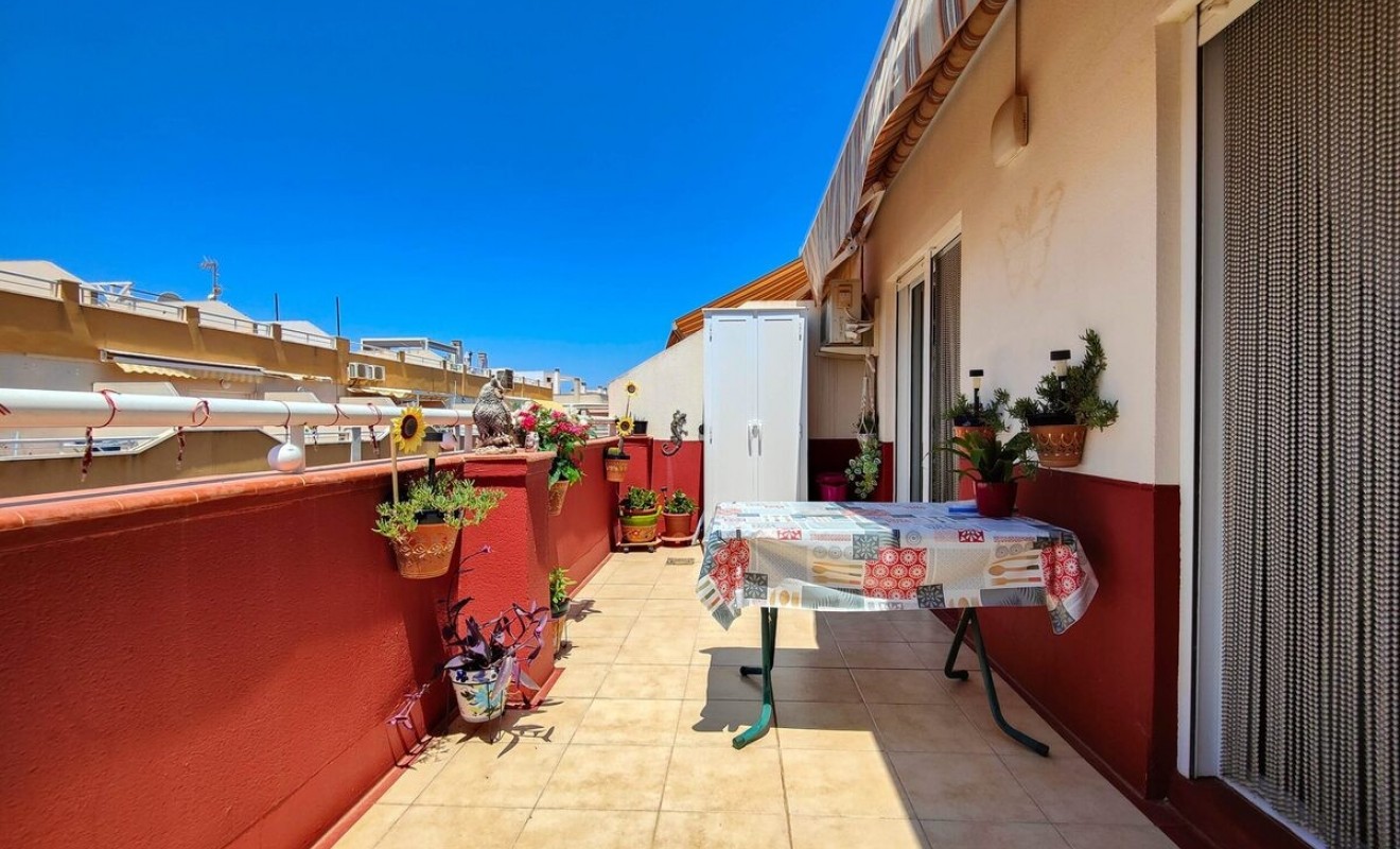 Wederverkoop - Penthouse - Torrevieja - Playa del Cura