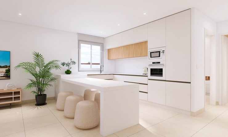 Nouvelle construction - terraced - Bigastro