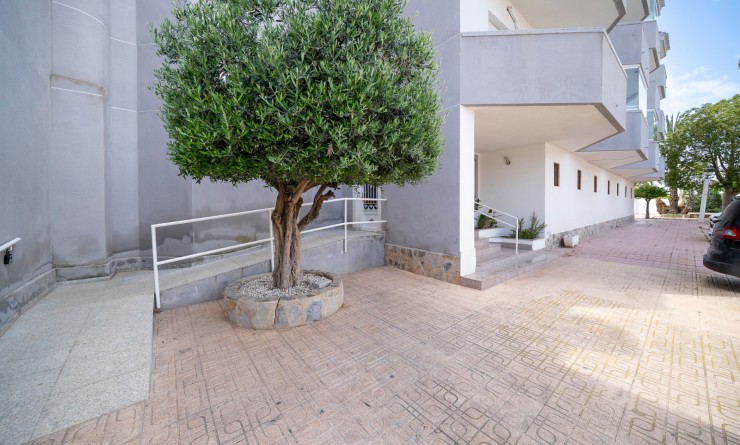 Wederverkoop - Appartement - Orihuela Costa - Cabo Roig