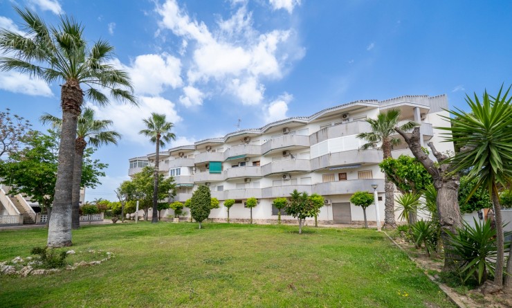 Wederverkoop - Appartement - Orihuela Costa - Cabo Roig