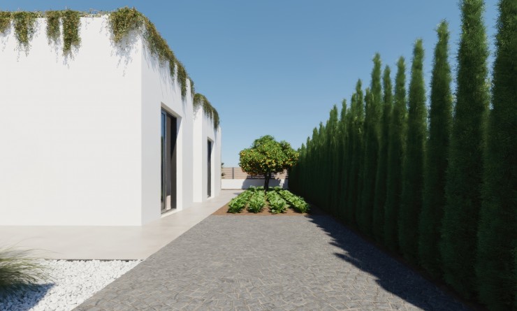 Nouvelle construction - Detached - Hacienda del Alamo Golf