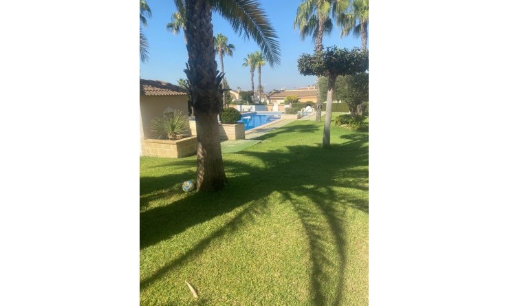 Revente - Maison de ville - Ciudad quesada - Doña pepa
