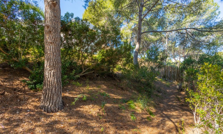 Wederverkoop - Villa - Orihuela - Orihuela Costa