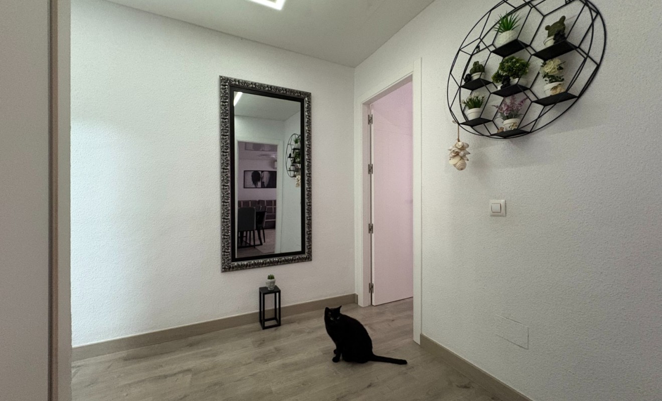 Wederverkoop - Apartments - Torrevieja - Centro