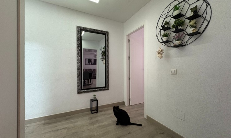 Wederverkoop - Apartments - Torrevieja - Centro