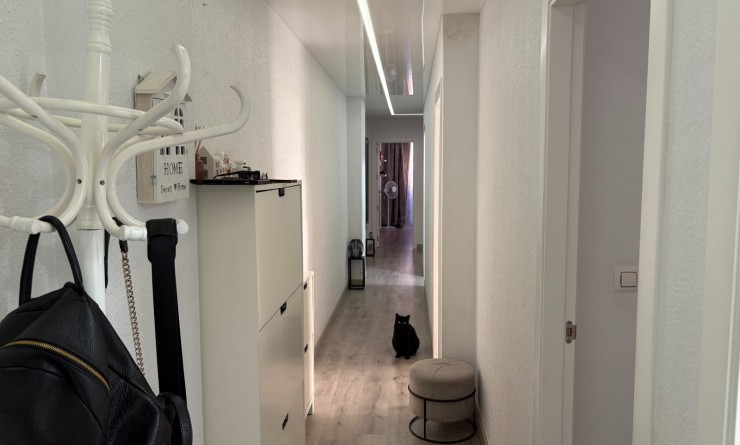 Wederverkoop - Apartments - Torrevieja - Centro
