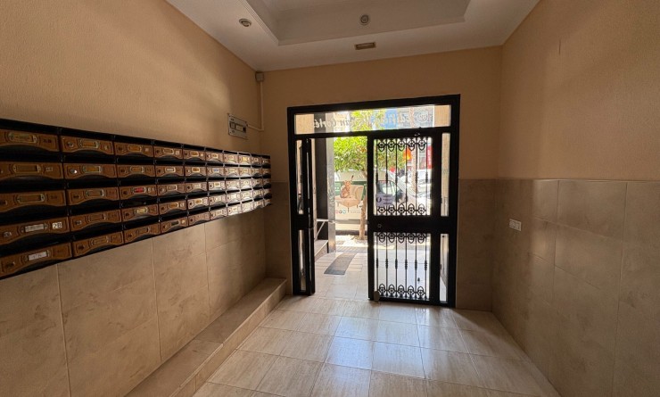 Wederverkoop - Apartments - Torrevieja - Centro