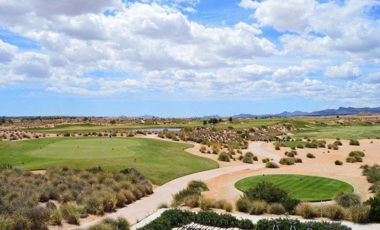 Nouvelle construction - Villa - Alhama de Murcia - Condado de Alhama