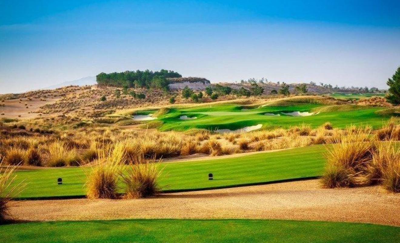 Nouvelle construction - Villa - Alhama de Murcia - Condado de Alhama
