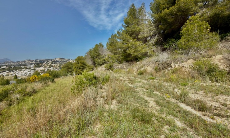 Wederverkoop - Perceel / Terrein - Moraira - center