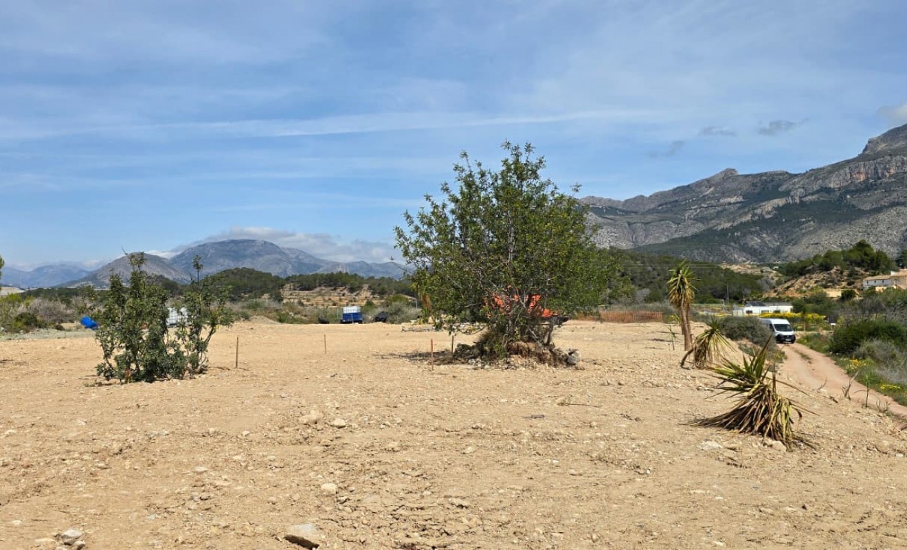 Sale - rustic plot - Altea
