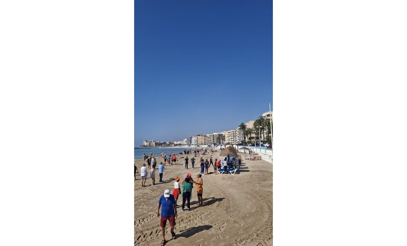 Wederverkoop - Appartement - Torrevieja - Playa de los Locos