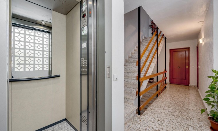 Wederverkoop - Appartement - Torrevieja - Centro
