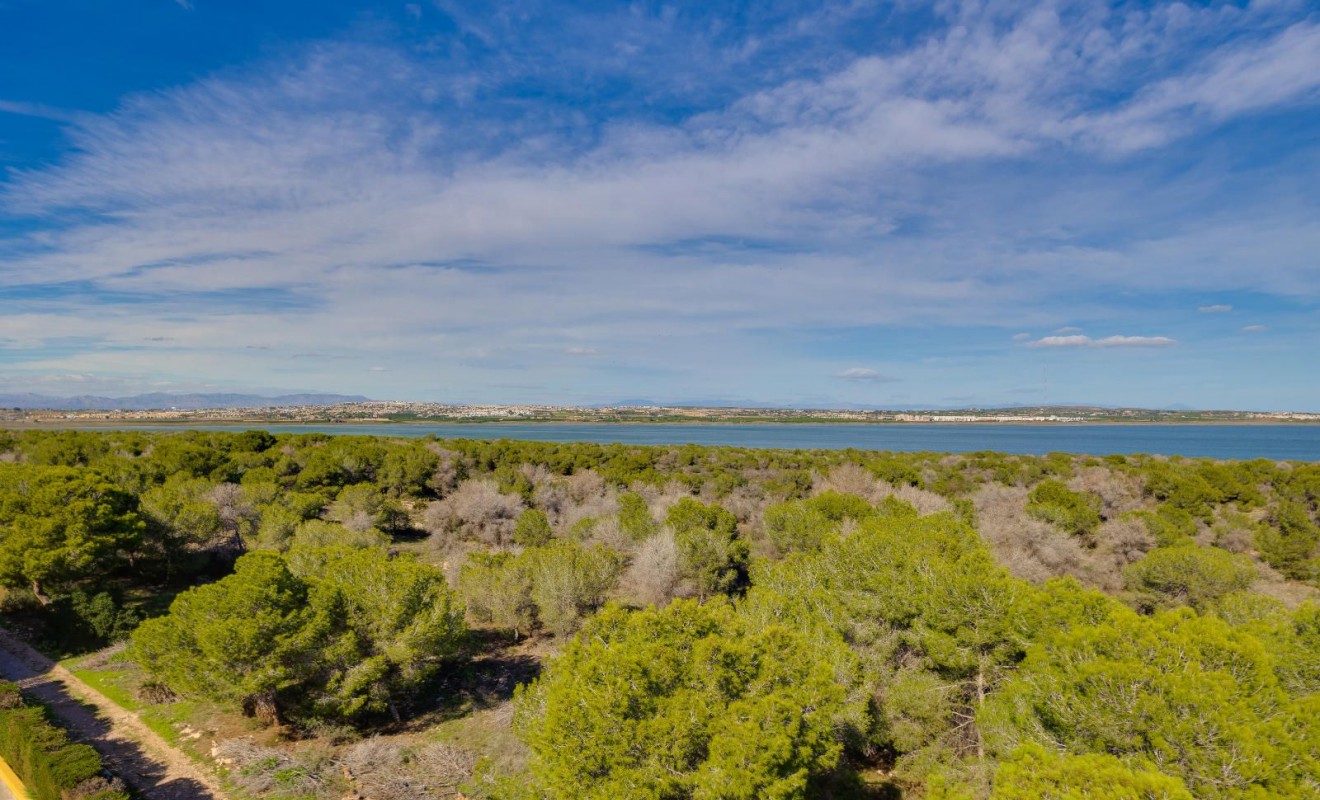 Wederverkoop - Appartement - Torrevieja - San Luis