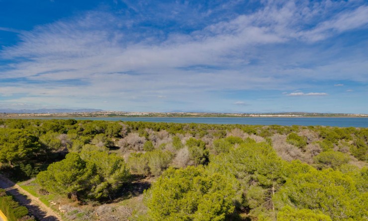 Wederverkoop - Appartement - Torrevieja - San Luis