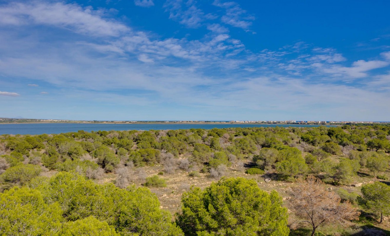 Wederverkoop - Appartement - Torrevieja - San Luis