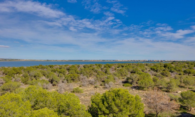Wederverkoop - Appartement - Torrevieja - San Luis