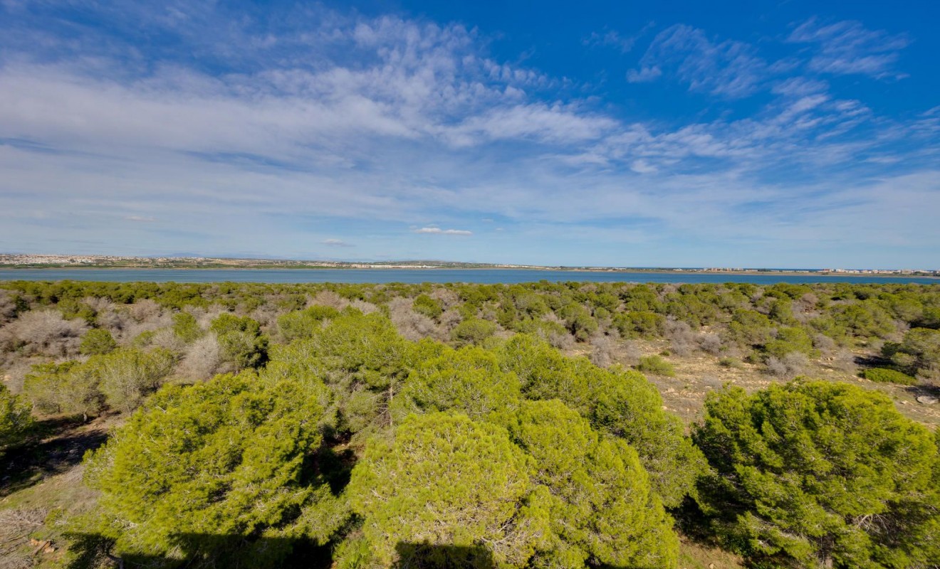 Wederverkoop - Appartement - Torrevieja - San Luis