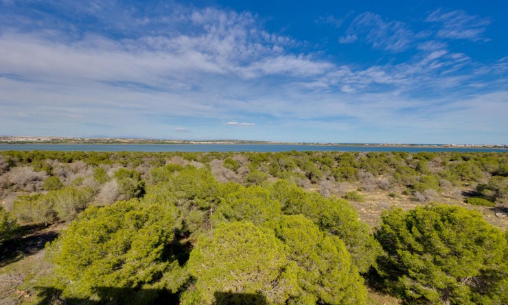 Wederverkoop - Appartement - Torrevieja - San Luis