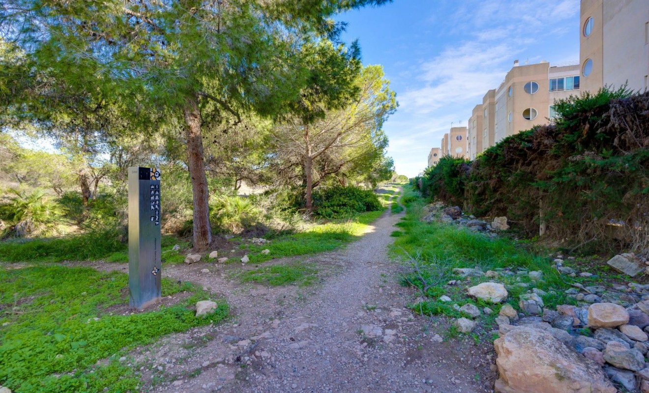 Wederverkoop - Appartement - Torrevieja - San Luis