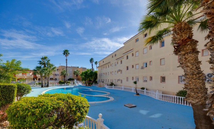 Wederverkoop - Appartement - Torrevieja - San Luis