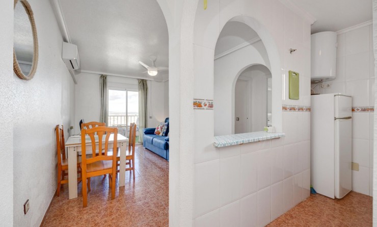 Wederverkoop - Penthouse - Torrevieja - Parque las naciones