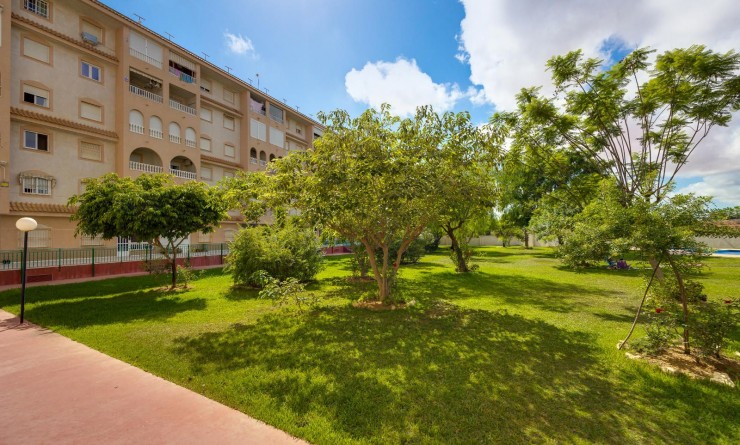Wederverkoop - Penthouse - Torrevieja - Parque las naciones