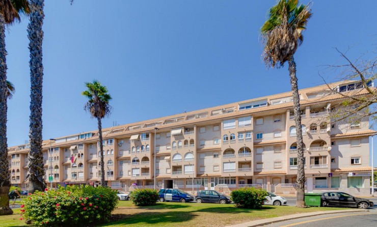 Wederverkoop - Penthouse - Torrevieja - Parque las naciones