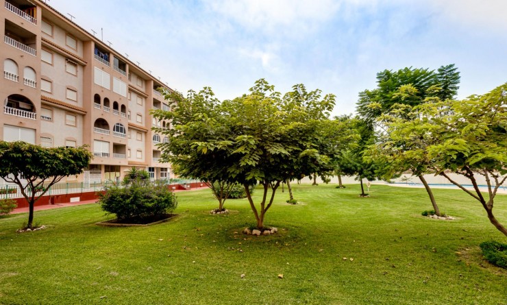 Wederverkoop - Penthouse - Torrevieja - Parque las naciones