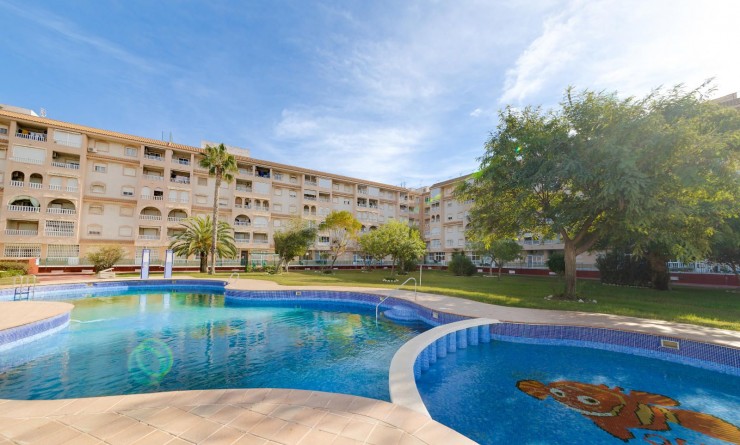 Wederverkoop - Penthouse - Torrevieja - Parque las naciones