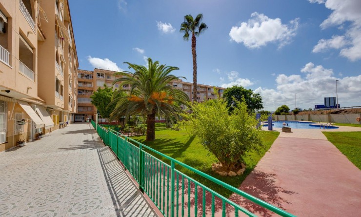 Wederverkoop - Penthouse - Torrevieja - Parque las naciones
