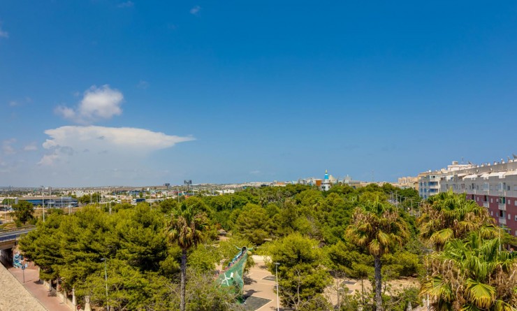 Wederverkoop - Penthouse - Torrevieja - Parque las naciones