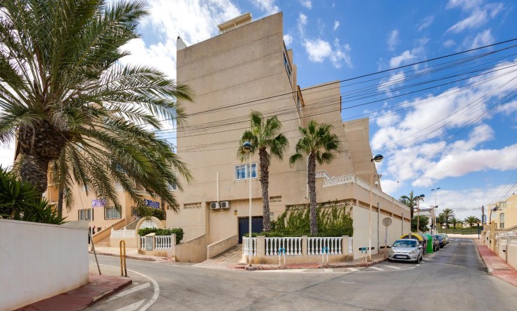 Revente - Appartement - Torrevieja - La Mata