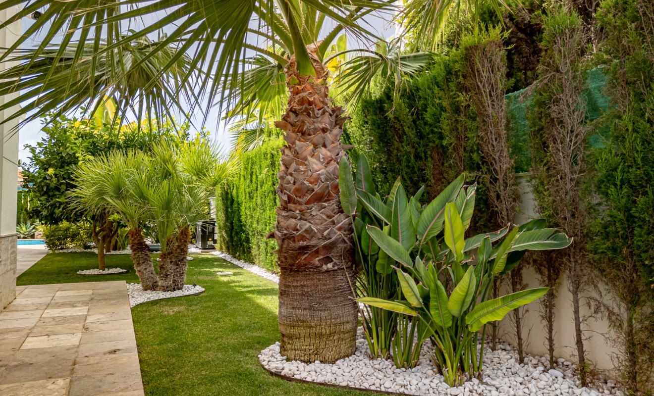Wederverkoop - Villa - La Zenia - Beachside