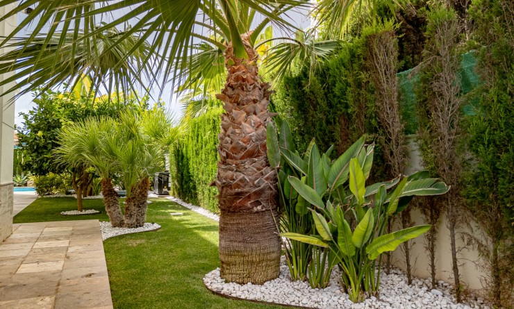 Wederverkoop - Villa - La Zenia - Beachside