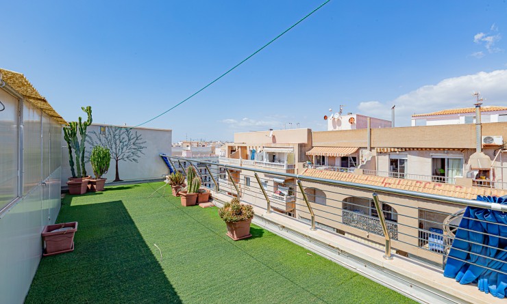 Wederverkoop - Penthouse - Torrevieja - Beach