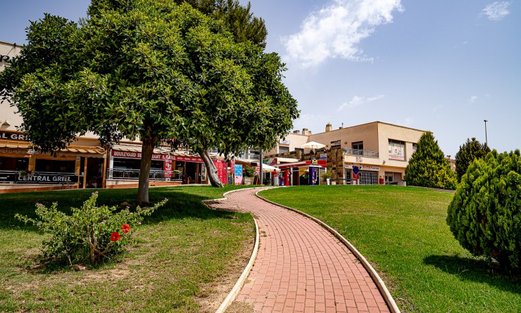 Wederverkoop - Appartement - Playa Flamenca - Zenia Mar