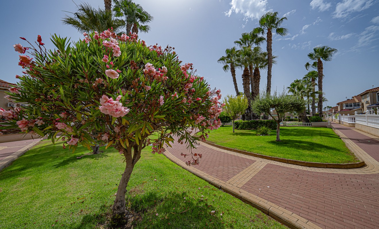 Wederverkoop - Appartement - Playa Flamenca - Zenia Mar
