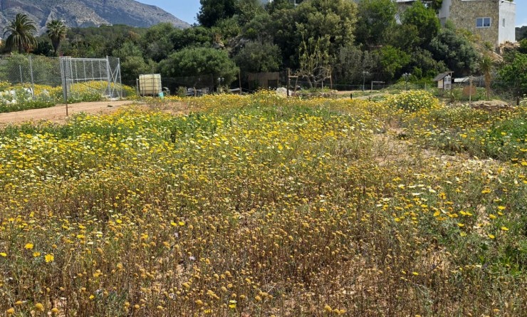 Wederverkoop - rustic plot - Altea - Olla Altea
