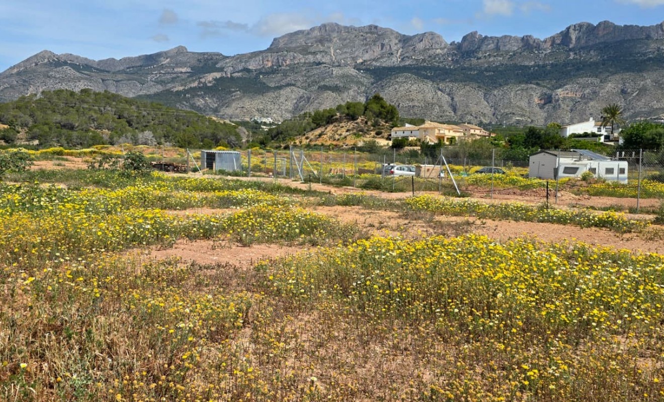 Wederverkoop - rustic plot - Altea - Olla Altea