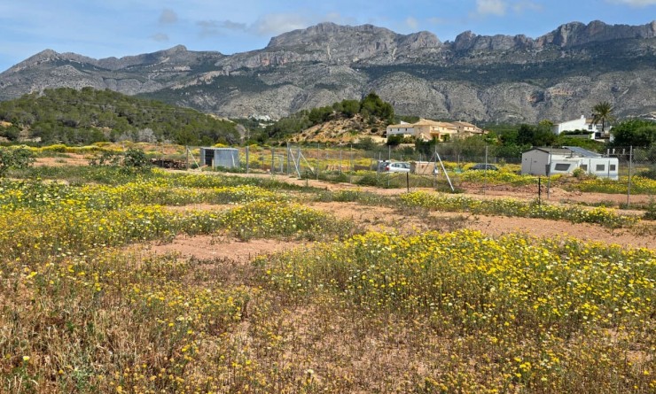 Wederverkoop - rustic plot - Altea - Olla Altea