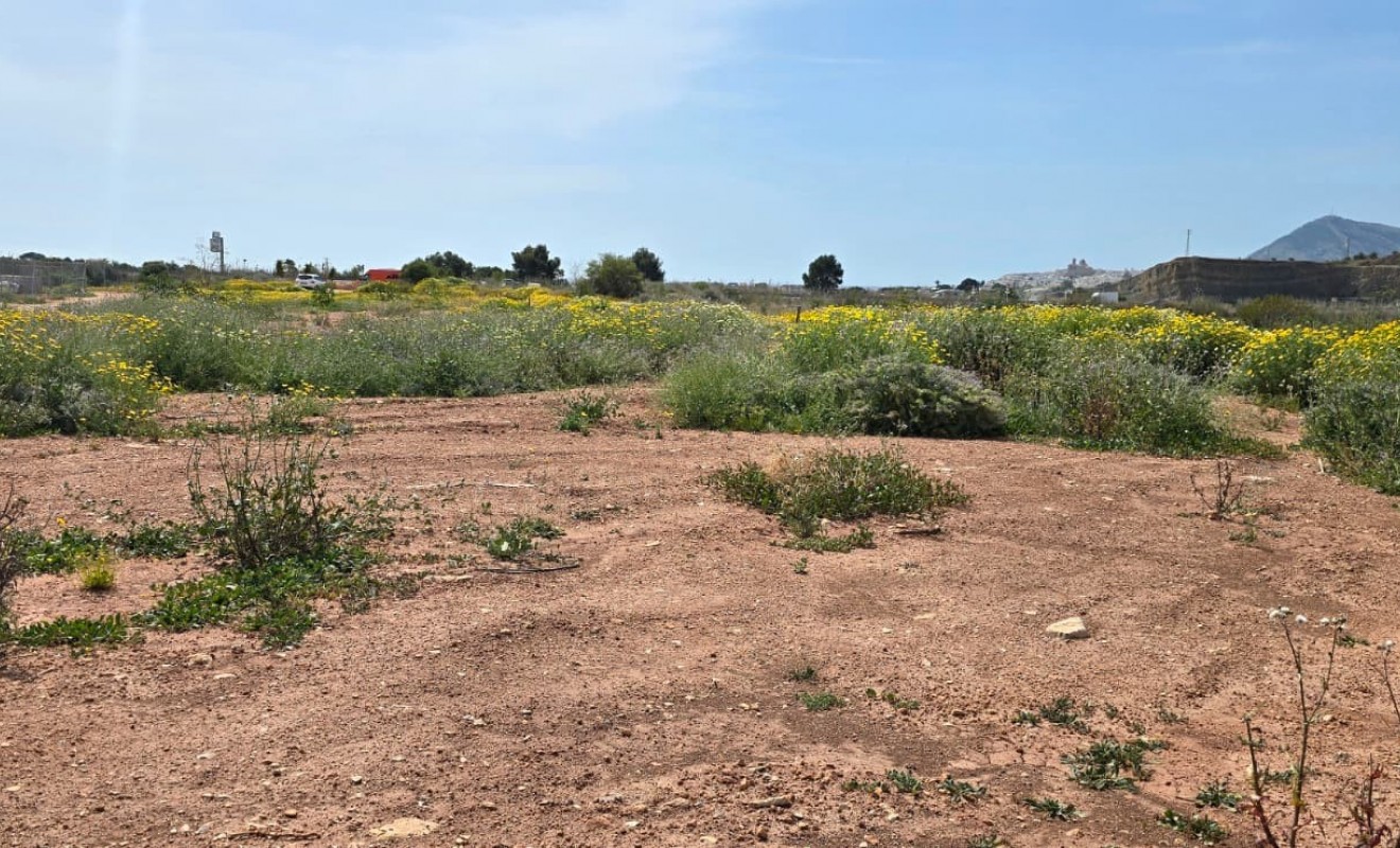 Wederverkoop - rustic plot - Altea - Olla Altea