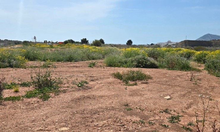 Wederverkoop - rustic plot - Altea - Olla Altea
